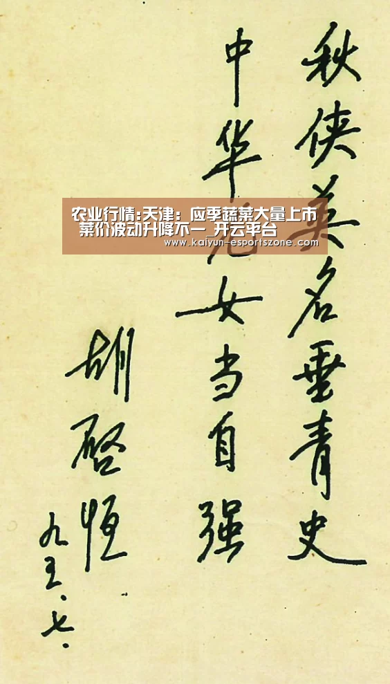 开云娱乐