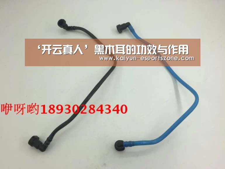 ‘开云真人’黑木耳的功效与作用(图1) 开云真人