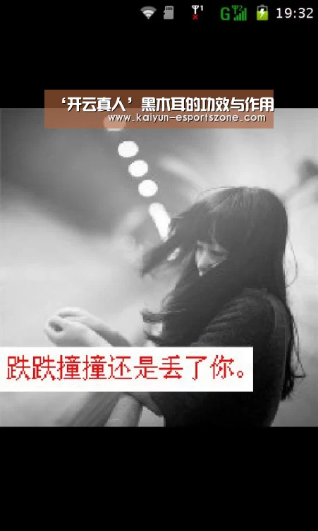 ‘开云真人’黑木耳的功效与作用(图4) 开云娱乐