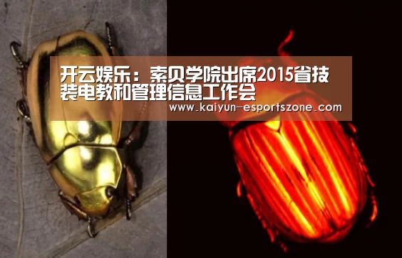 开云娱乐:索贝学院出席2015省技装电教和管理信息工作会(图1) 开云娱乐