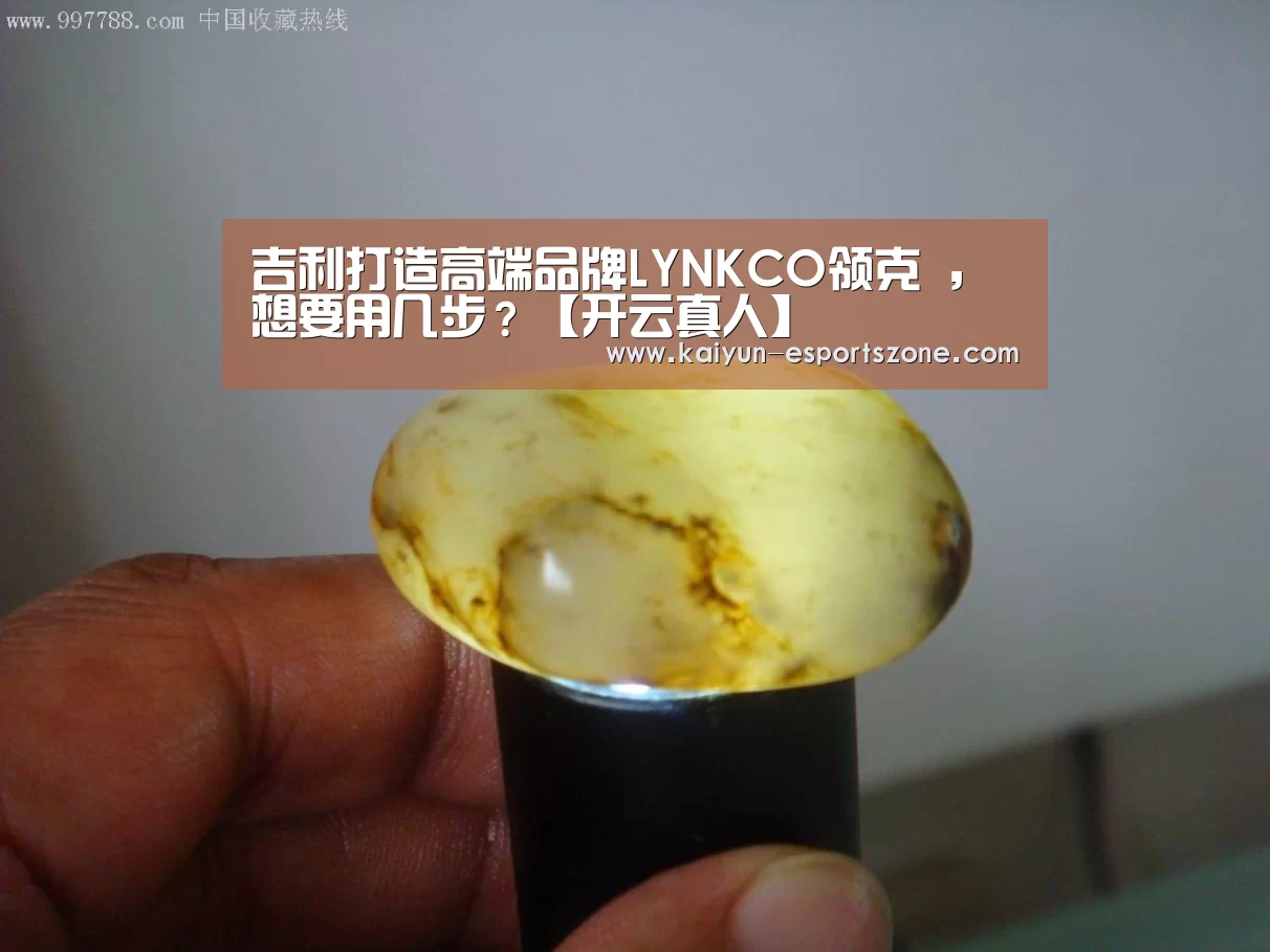 吉利打造高端品牌LYNKCO领克 ,想要用几步?【开云真人】(图1) 开云娱乐