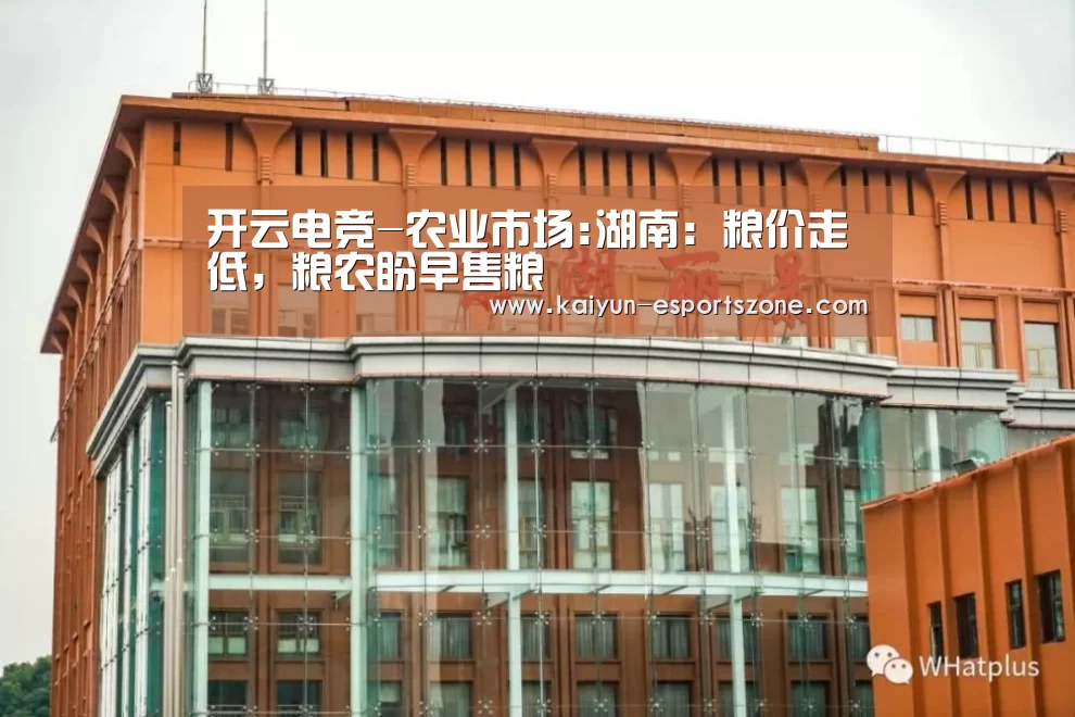 开云电竞-农业市场:湖南:粮价走低,粮农盼早售粮(图1) 开云真人