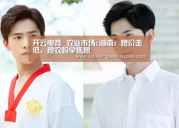 开云电竞-农业市场:湖南:粮价走低,粮农盼早售粮(图3) 开云娱乐