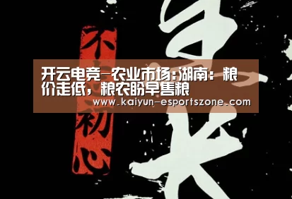 开云电竞-农业市场:湖南:粮价走低,粮农盼早售粮(图2) 开云平台