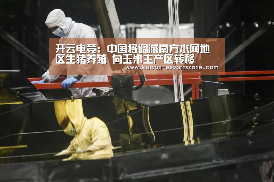 开云电竞:中国将调减南方水网地区生猪养殖 向玉米主产区转移(图4) 开云电竞
